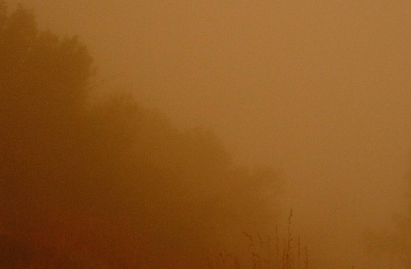 Smoke Alert: Charlotte Residents Advised to Stay Indoors Amid Poor Air Quality