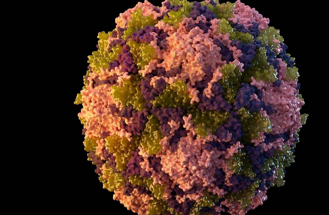CDC Issues Global Travel Advisory for 32 Countries Amid Rising Polio Cases