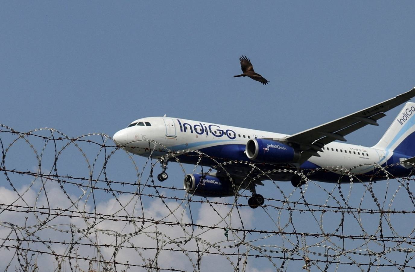 IndiGo among worst-hit as Iran war delivers crude shock to global airline stocks| Business News