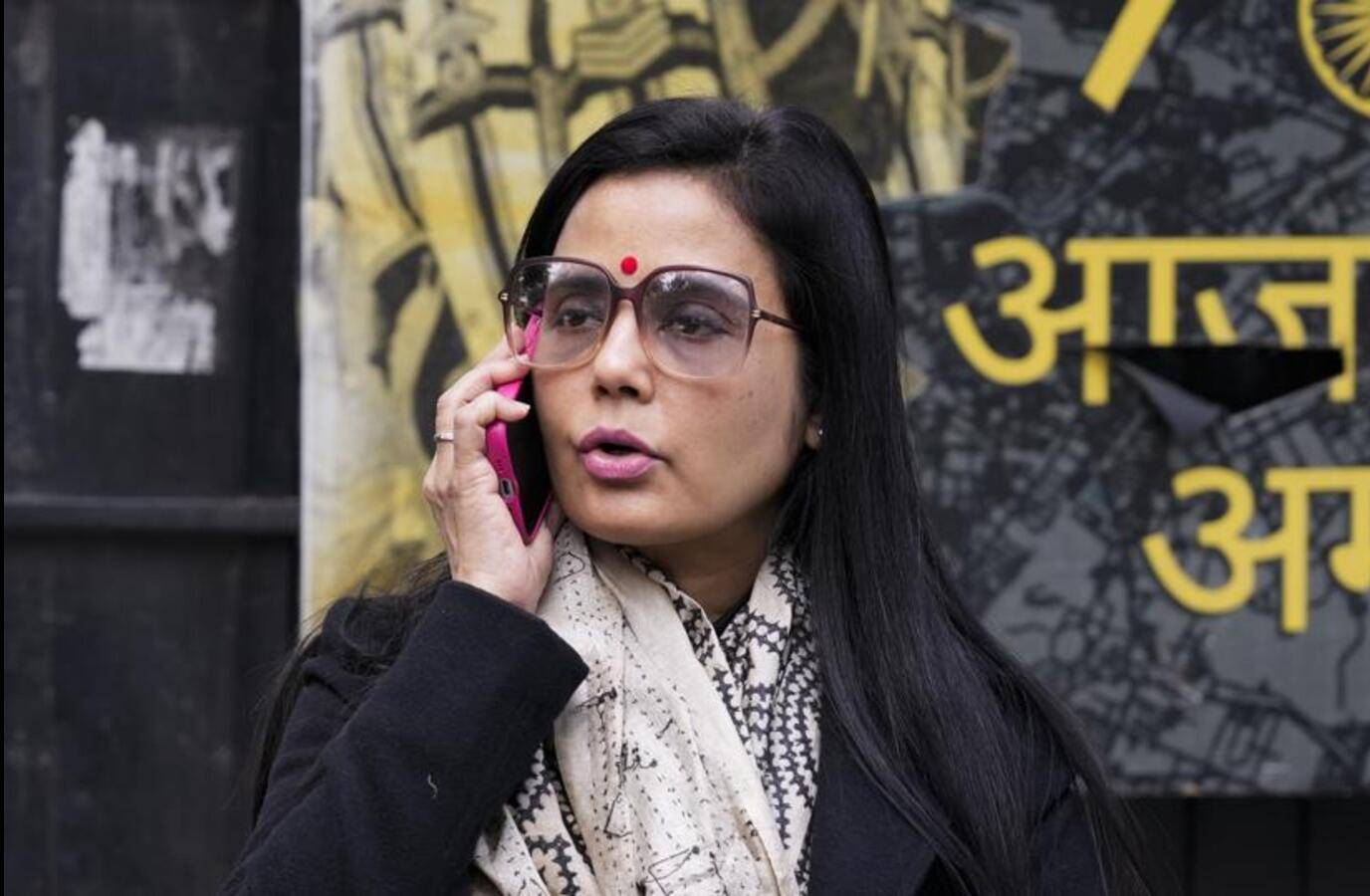 Delhi HC Rejects Ex-TMC MP's Plea to Halt Dog Custody Trial