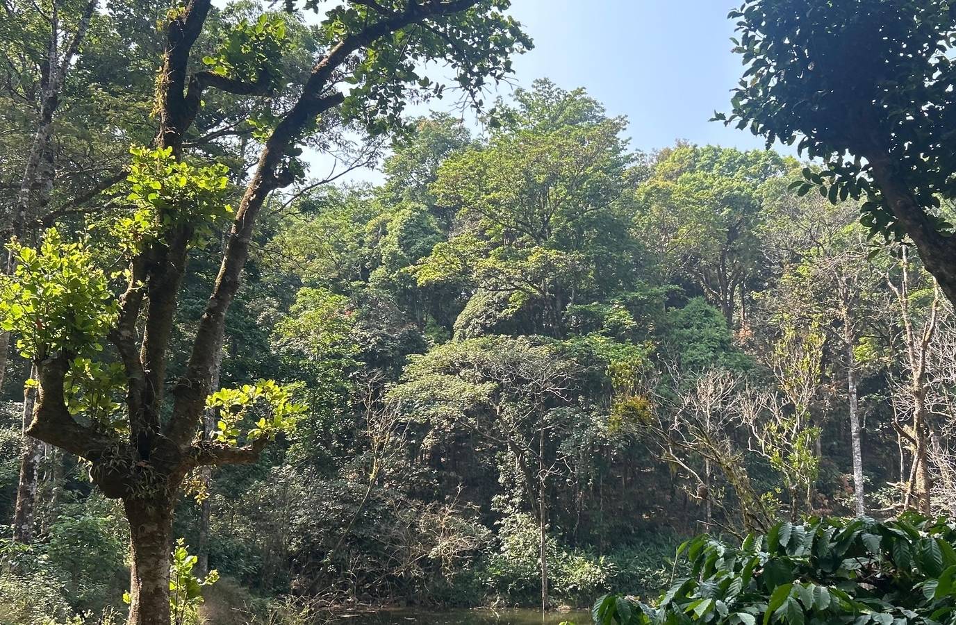 Centre Sets Up Body to Expedite Environmental Clearances