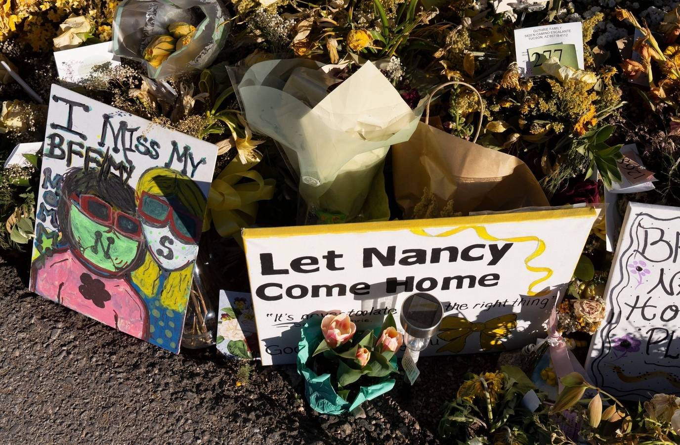 Tampered Utility Box Raises Questions in Nancy Guthrie Disappearance Probe