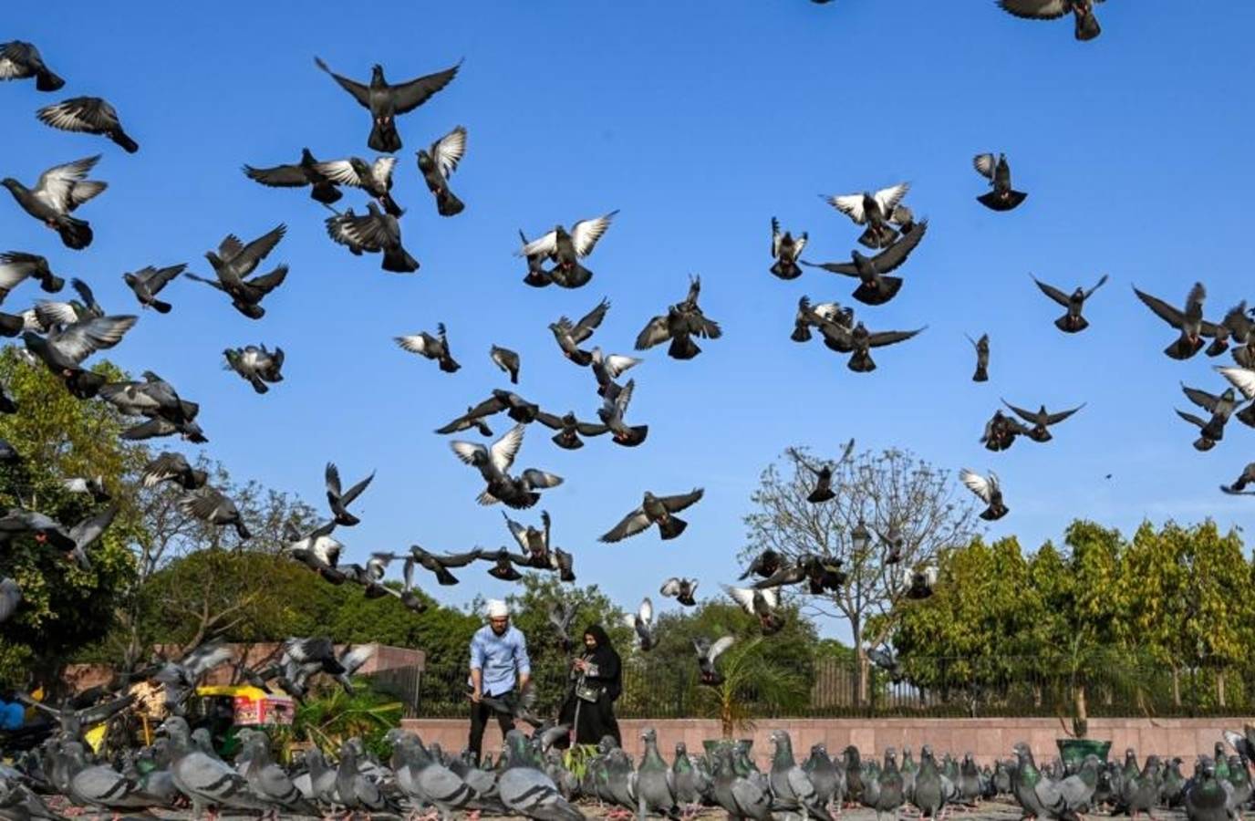 Delhi Sizzles at 36.8°C, Cooler Days Ahead Next Week