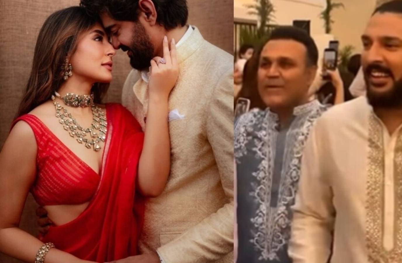 Cricket Stars and Bollywood Celebrities Dance the Night Away at Kritika Kamra and Gaurav Kapur's Wedding