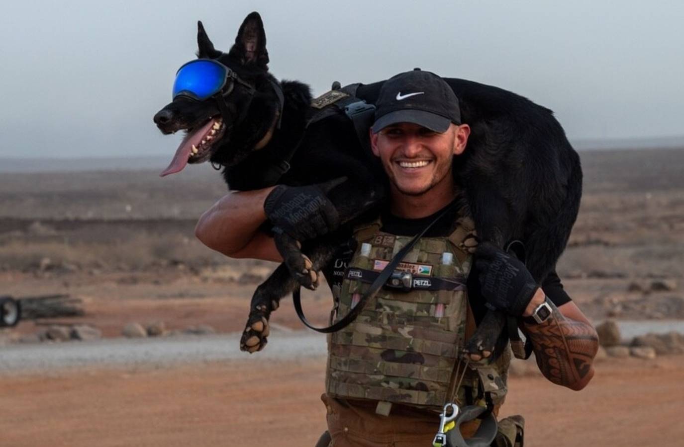 US Honors Military Working Dogs on K9 Veterans Day