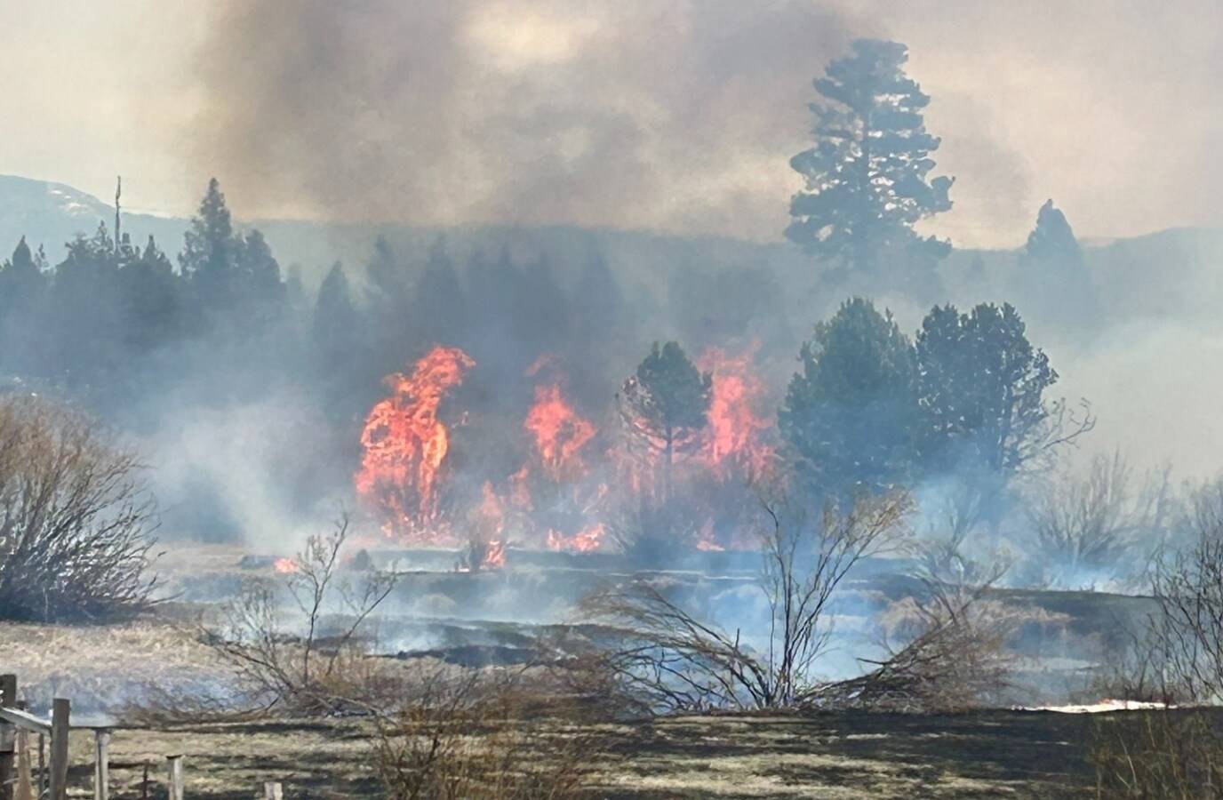 Oregon Wildfire: La Pine Residents Ordered to Evacuate as Riverview Fire Spreads