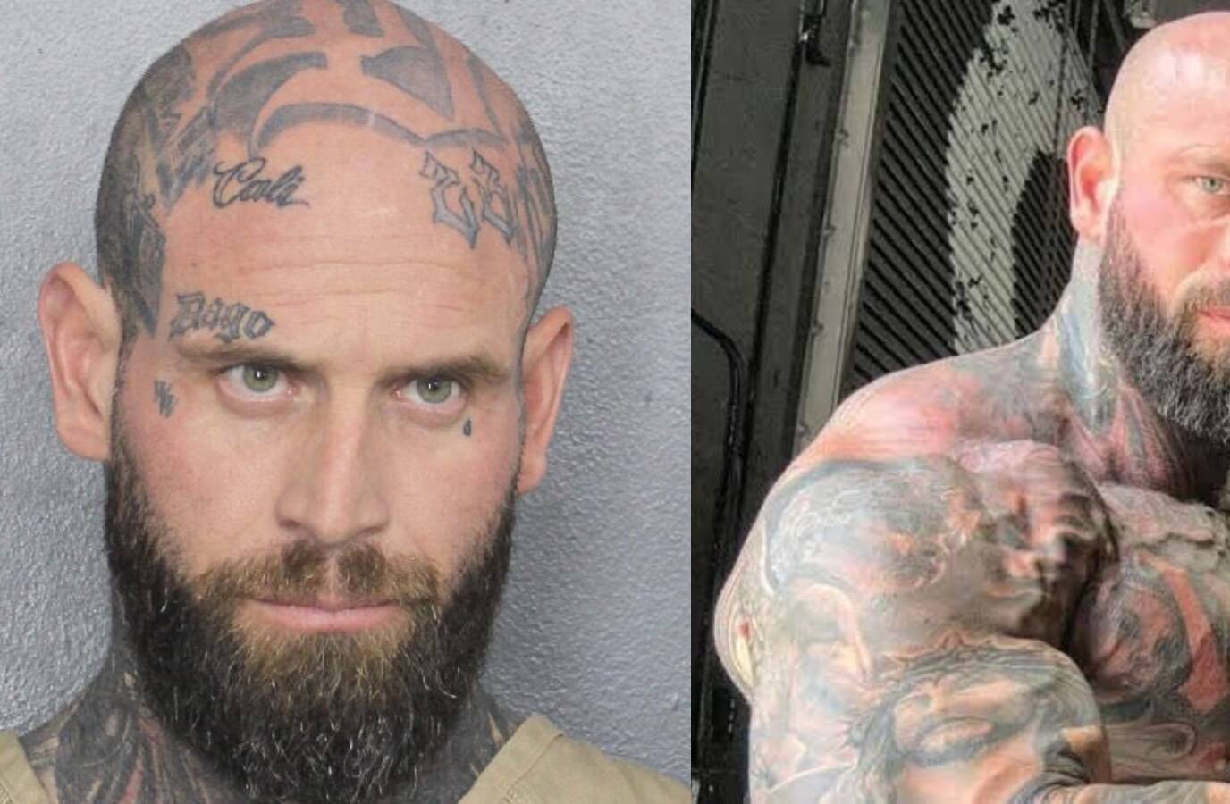 Fitness YouTuber Wes Watson's Shocking Arrest Allegations Surface in Florida