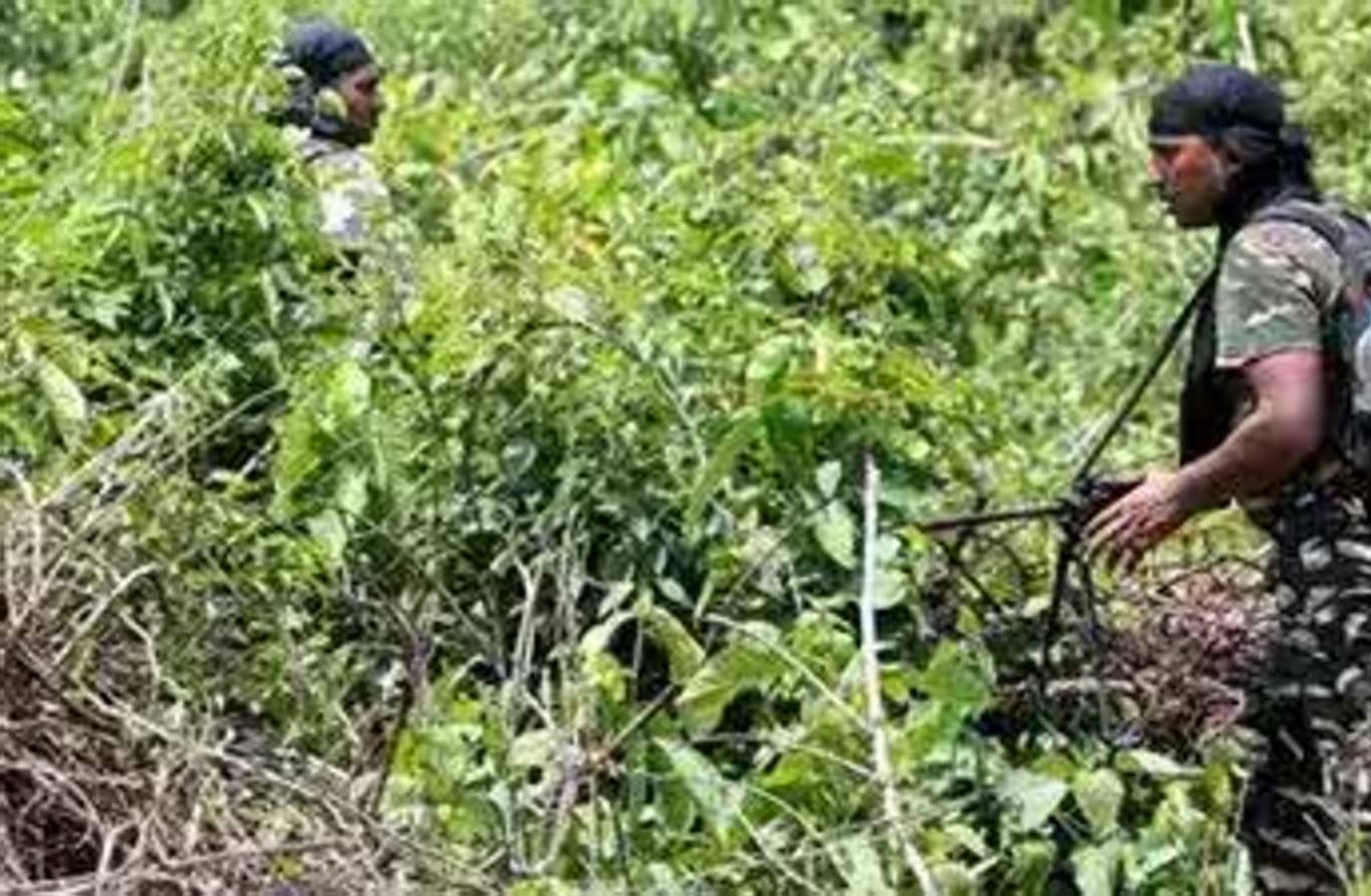 Odisha Launches Operation to Capture Maoist Leader Sukru Before Deadline