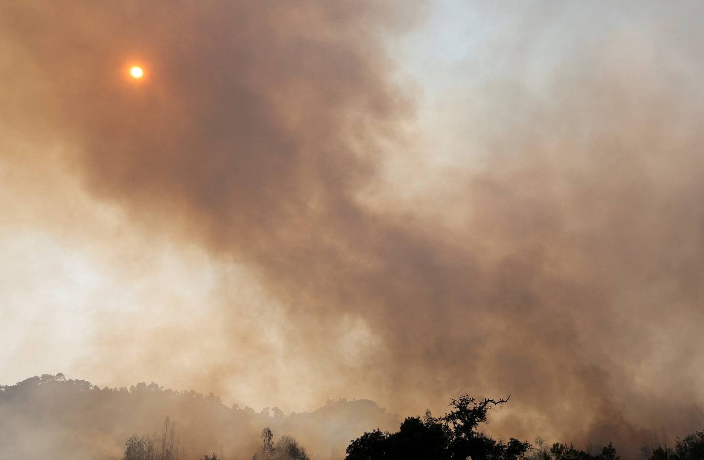 Belmore State Forest Fire Updates: Evacuation Lifted, 350 Acres Contained