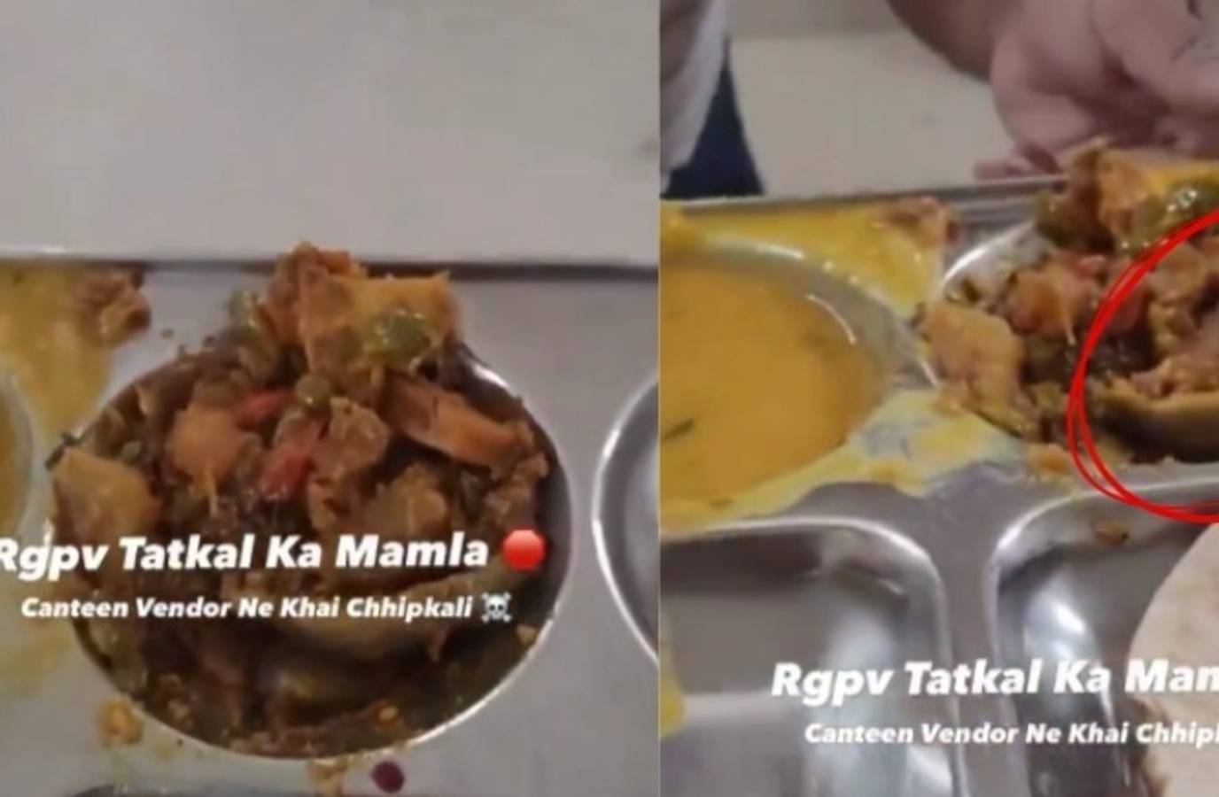 Lizard in Bhopal University Food: Staff Member Eats It, Claims It's Capsicum