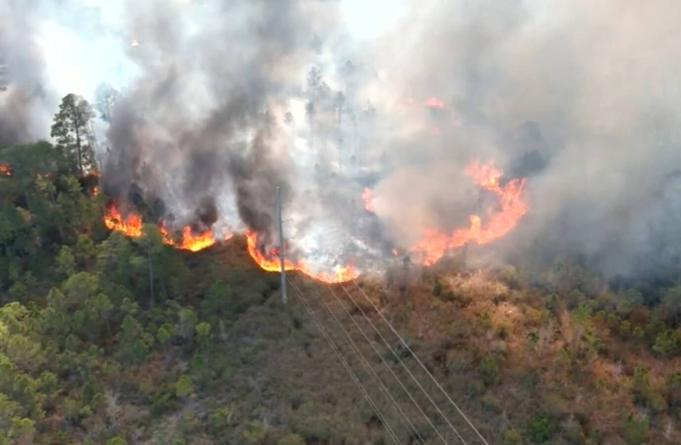 Alabama's Gulf Shores State Park Enveloped in Brush Fire Chaos