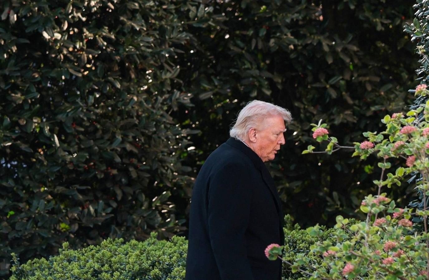 Trump's Iran Pause Sparks Oil Price Plunge: De-escalation or Market Tactic?