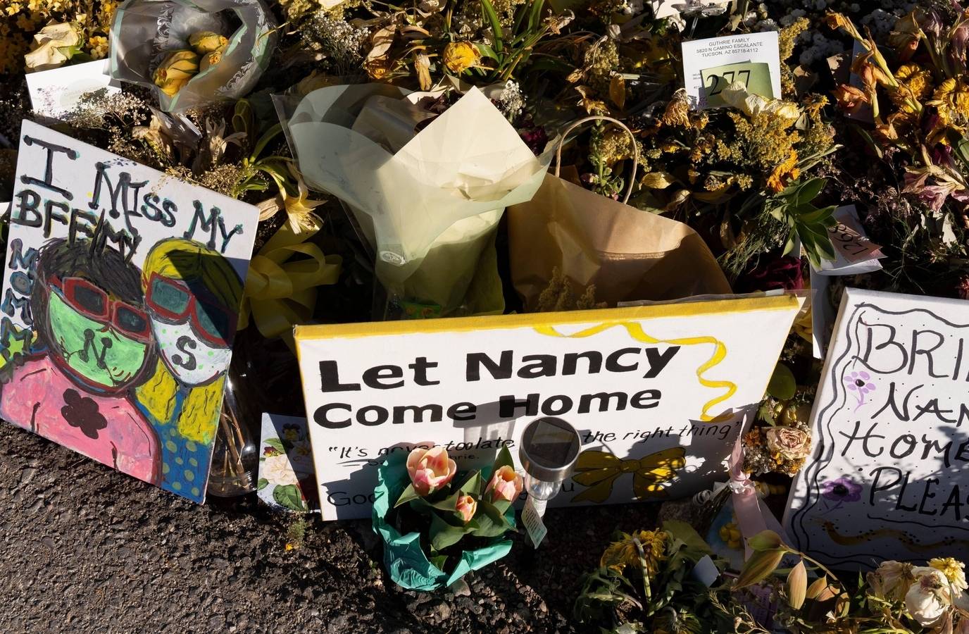 Amateur Abduction Theory: Expert Weighs in on Nancy Guthrie's Disappearance