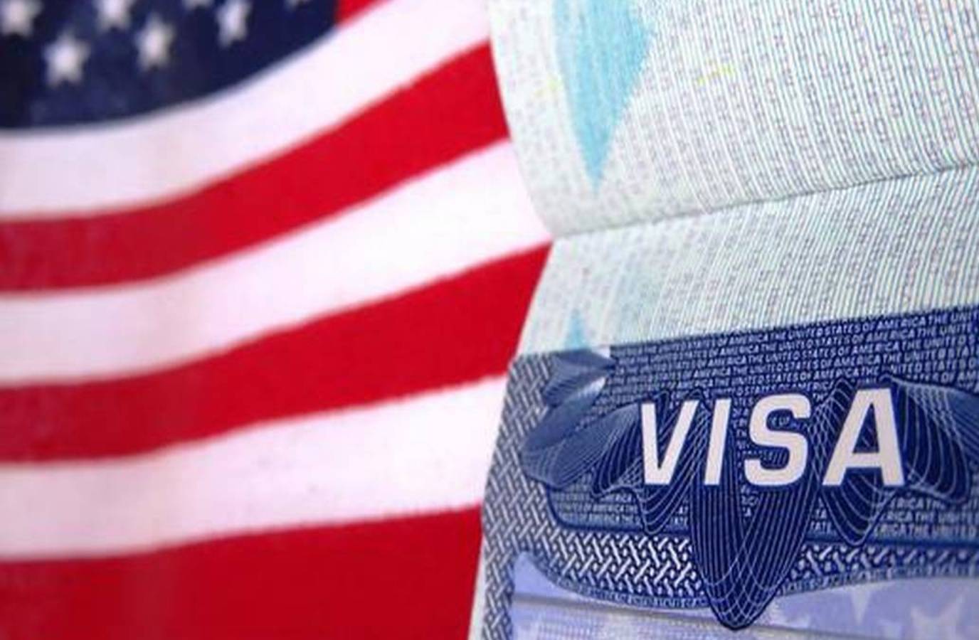 H-1B Visa Decline Opens Doors for Smaller Firms and US Graduates