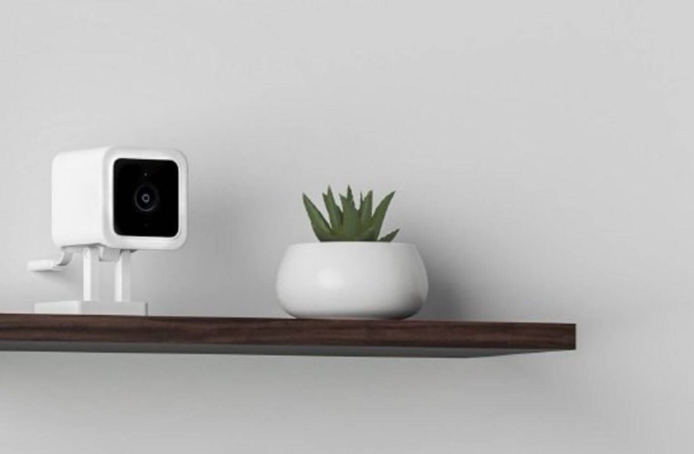 Wyze Outage Hits Thousands: How to Fix App and Camera Issues