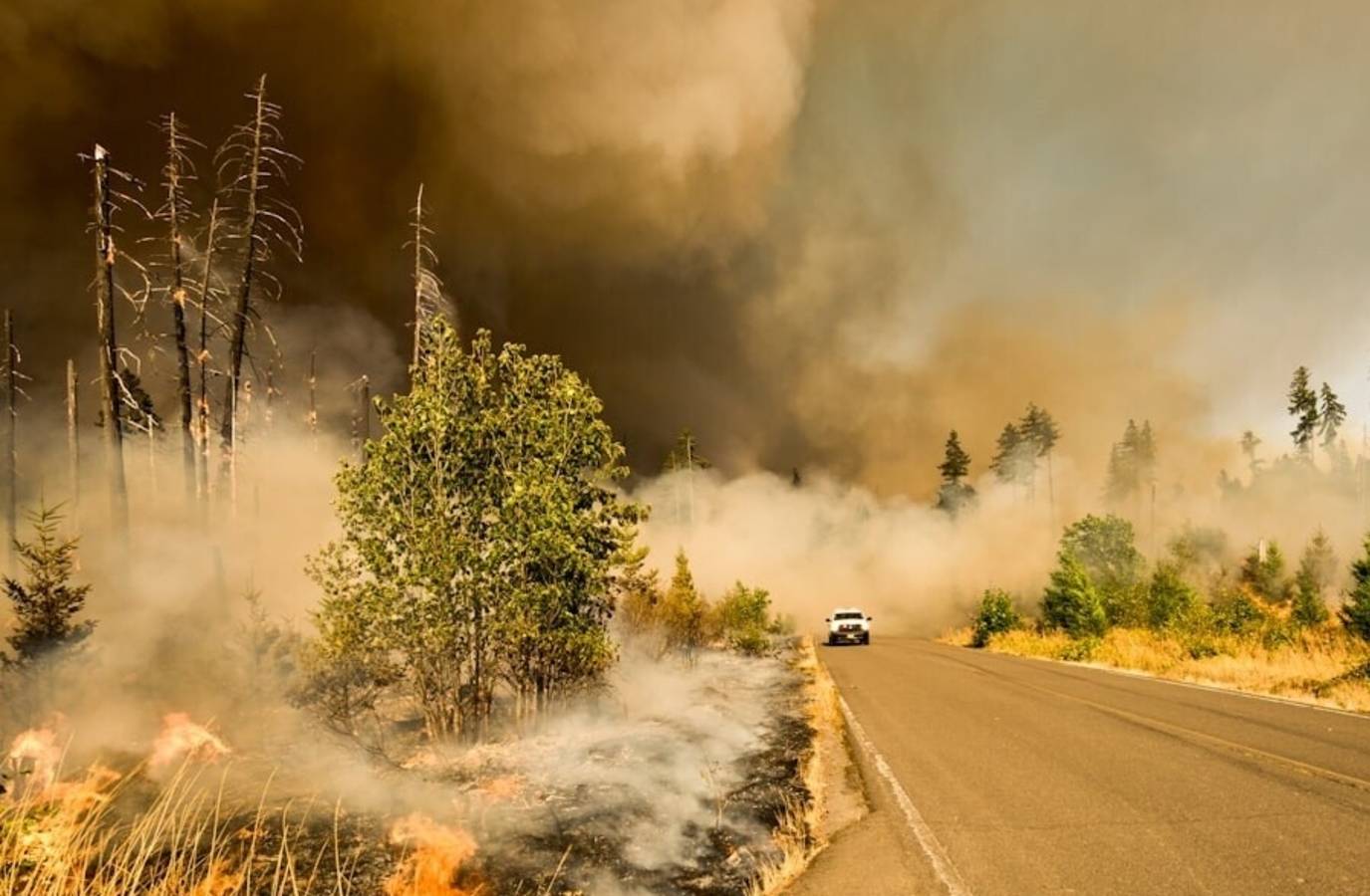 Florida Wildfire Spreads Rapidly, Forces Evacuations in Hernando County