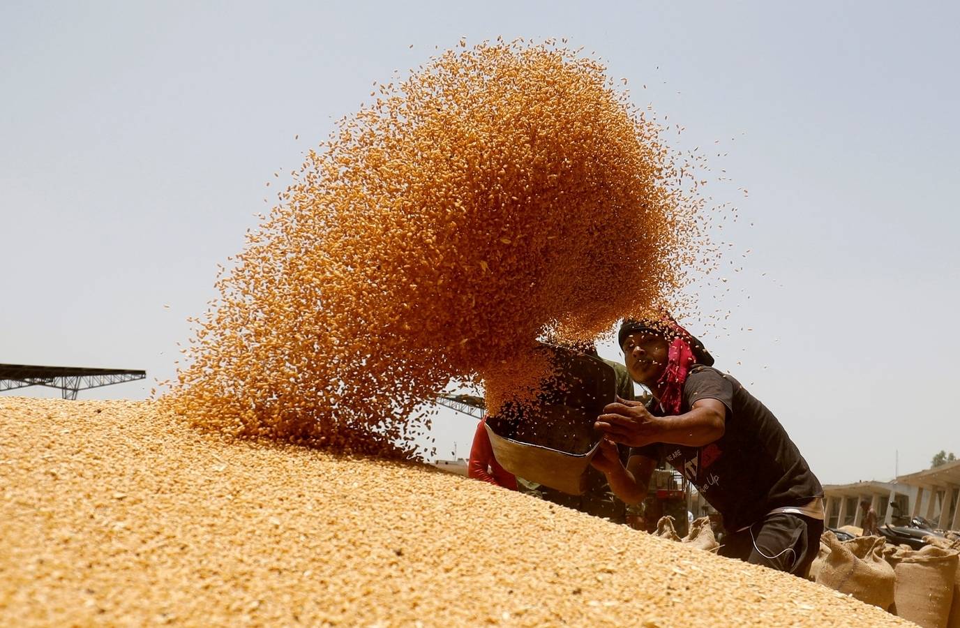 Bangladesh Seeks Indian Wheat Amid Global Shortages and Conflict