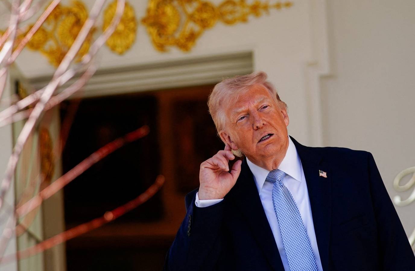 Trump's 'Bizarre' Comments on Iran Draw Calls for 25th Amendment
