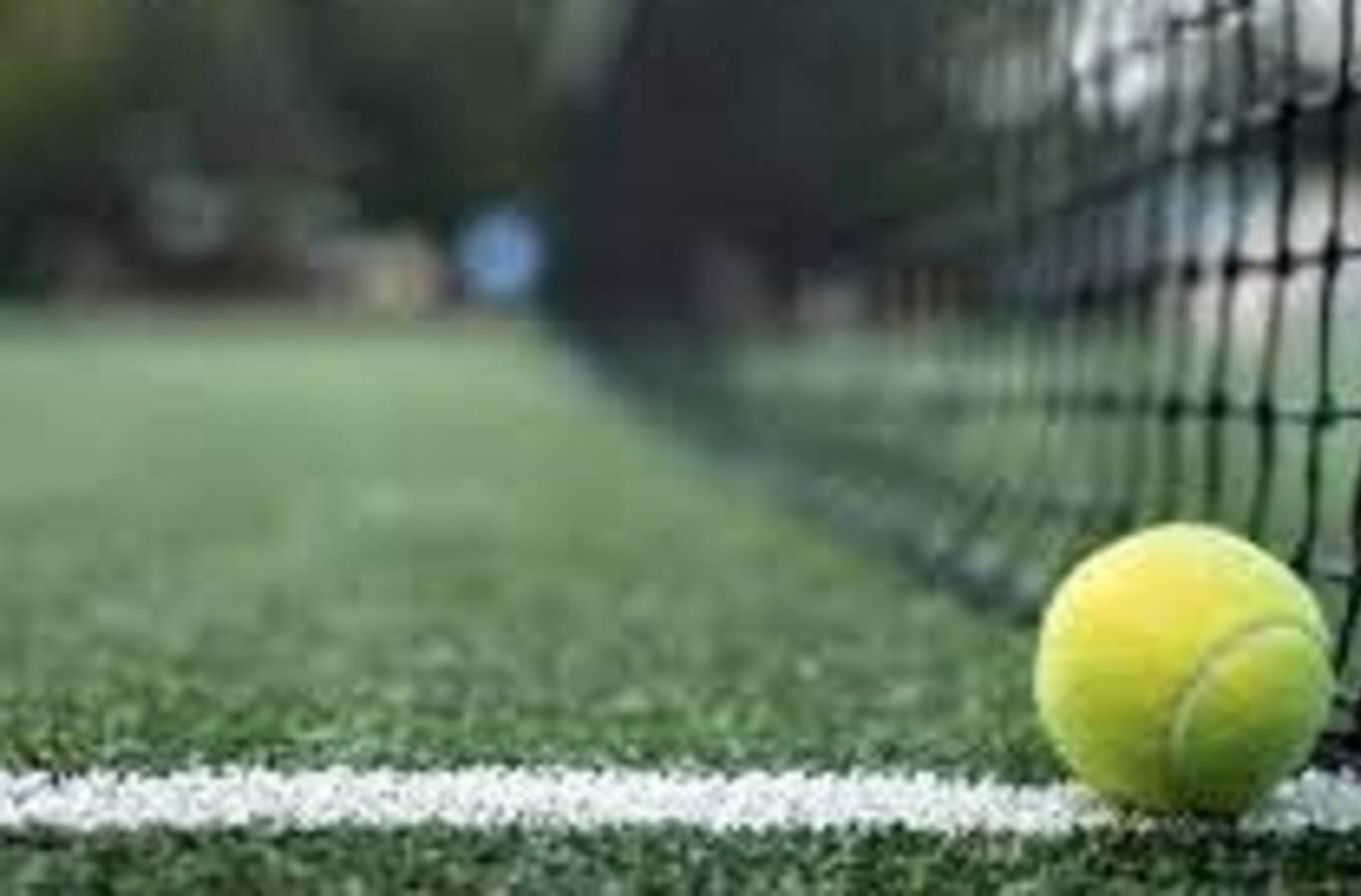 India's Billie Jean King Cup Campaign Ends in Disappointment