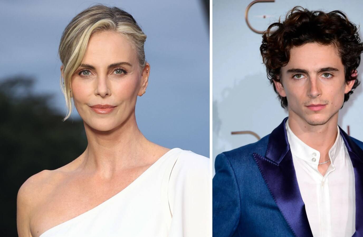Charlize Theron Slams Timothée Chalamet's 'Reckless' Ballet Comment