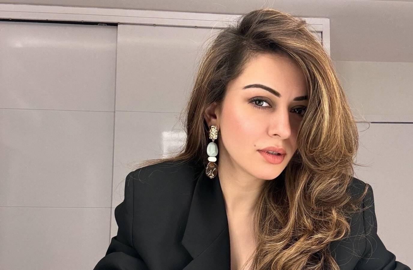 Hansika Motwani Slammed for Ignoring Casting Couch Issue: 'Because Mere Saath Nahi Hua'