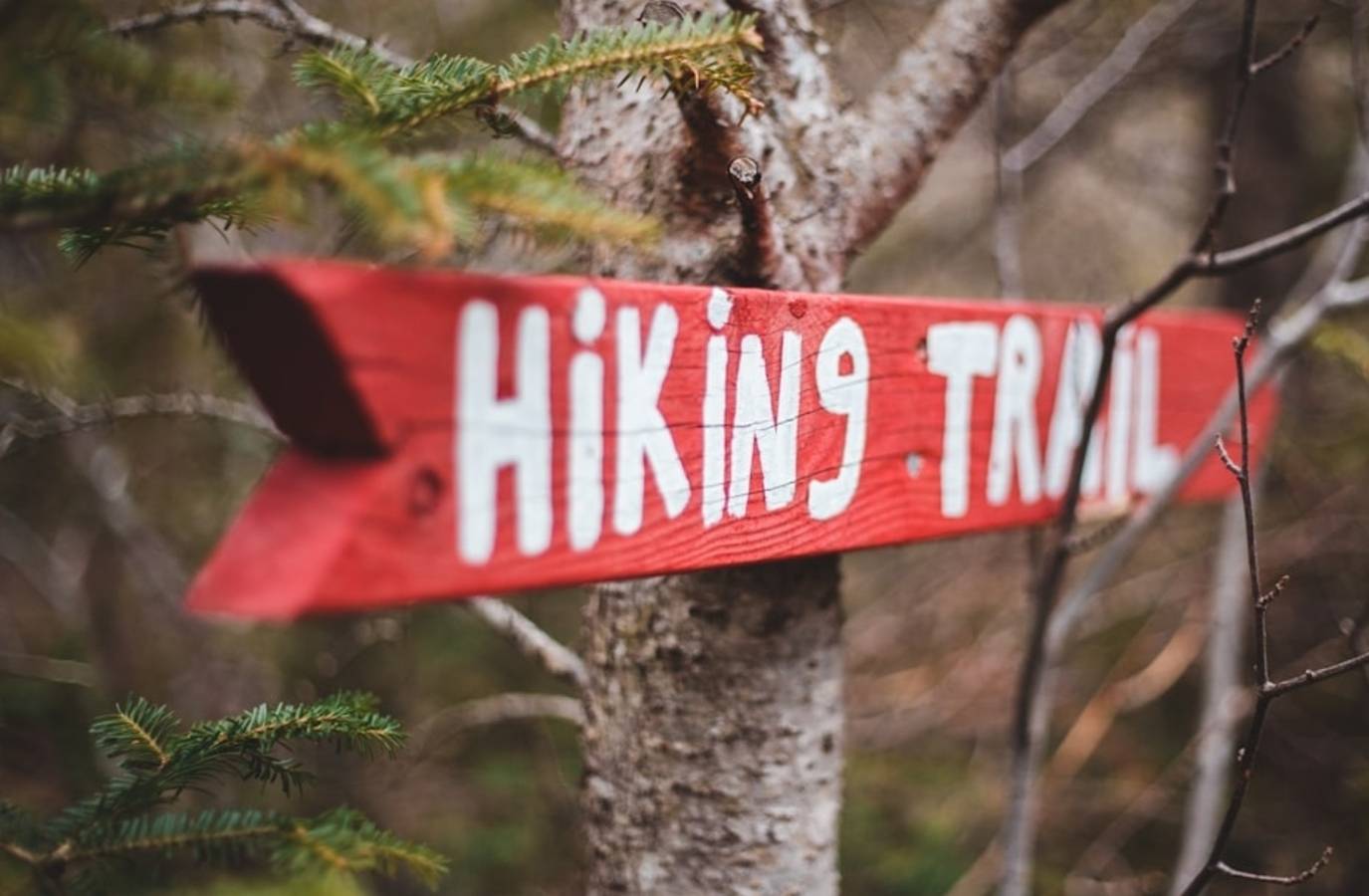Texas Hiker Identified in Angels Landing Fall Death