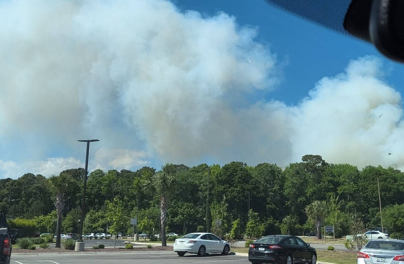 South Carolina Wildfire: 7-Acre Blaze Engulfs Redwolf Trail Area
