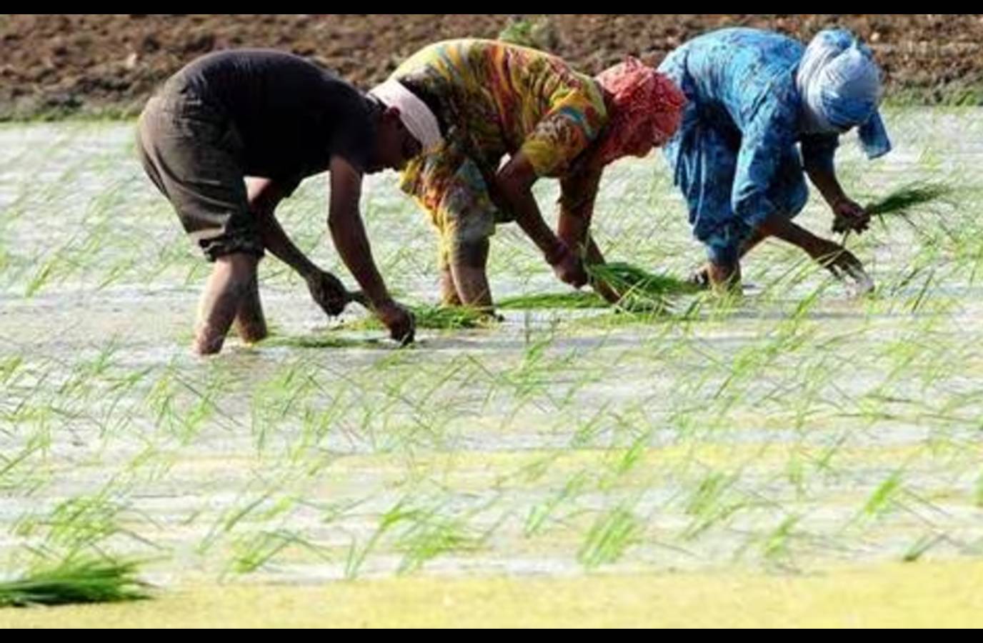 MP Land Acquisition: Farmers to Get Up to 4 Times Market Value for Land
