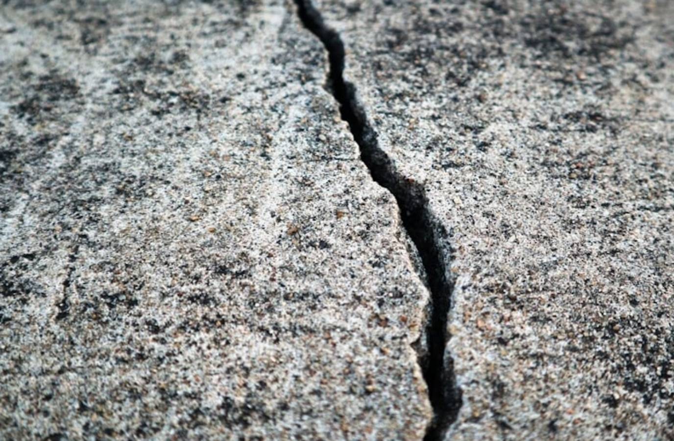 Sharp Shocks Rock San Francisco Zoo as Earthquakes Strike