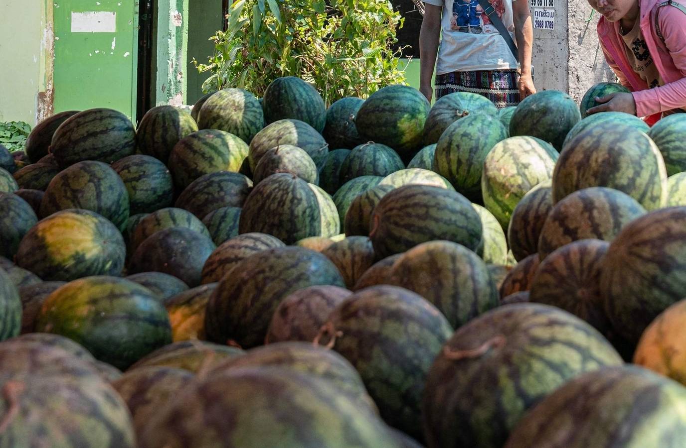 Watermelon Meal Turns Fatal: Probe Underway After Mumbai Couple and Daughters Die