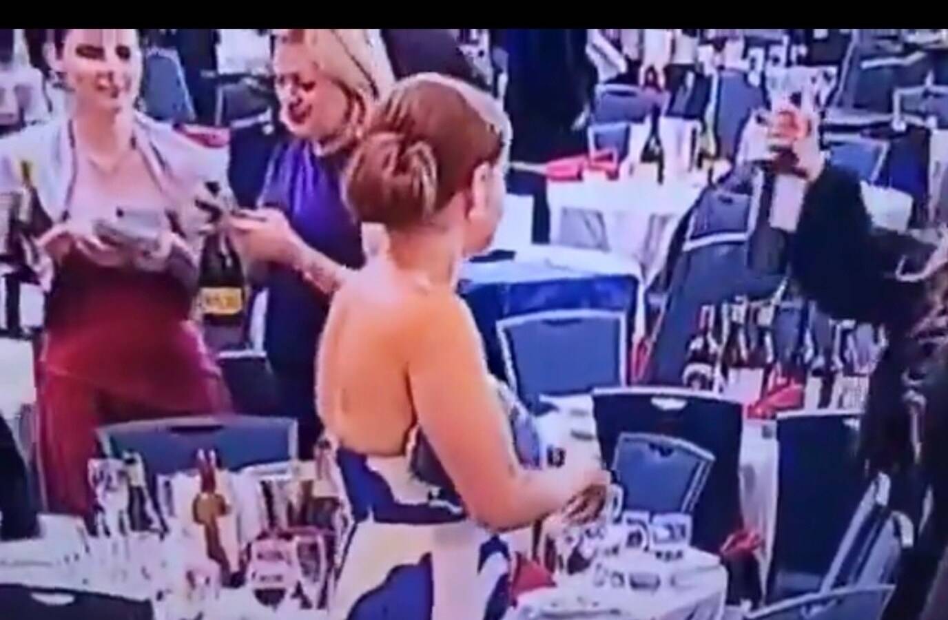 Ukraine Diplomat Identity Misidentified in Viral WHCD Video