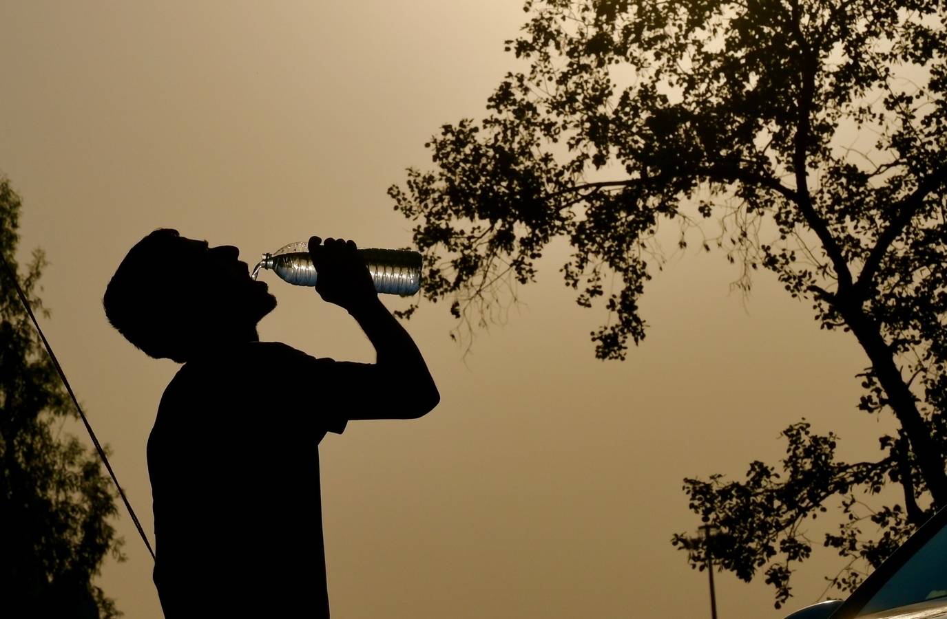 Dust Storm, Thunderstorm to Hit Delhi on Tuesday: IMD Predictions