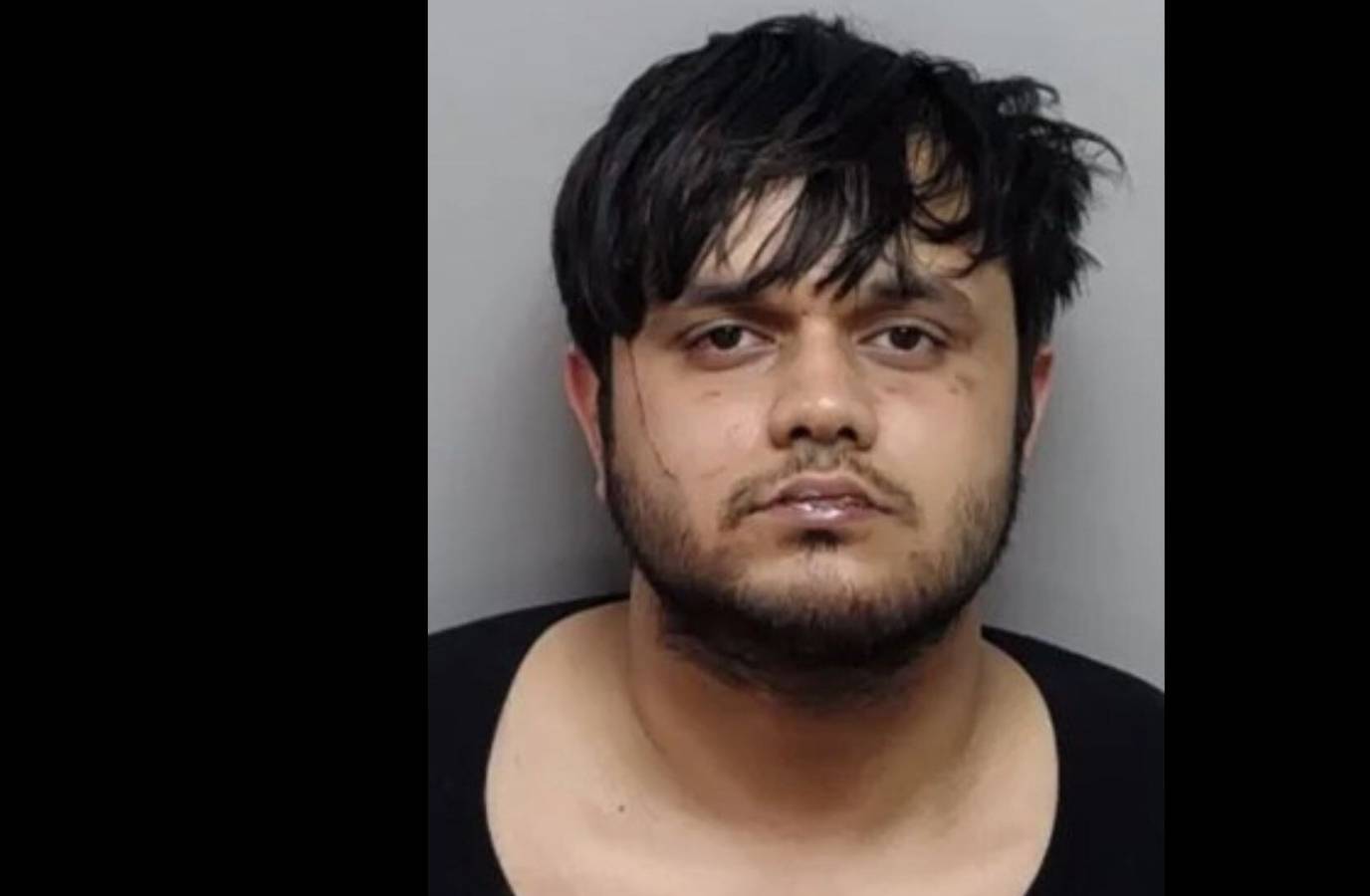 Indian Man Accused of Biting Toddler, Violently Assaulting Mother in US Park