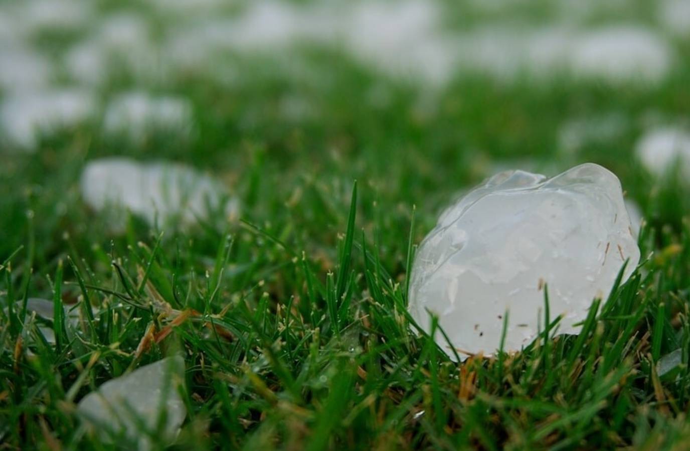 Hailstorm Brings Delhi-NCR to a Standstill Amid IMD Warning