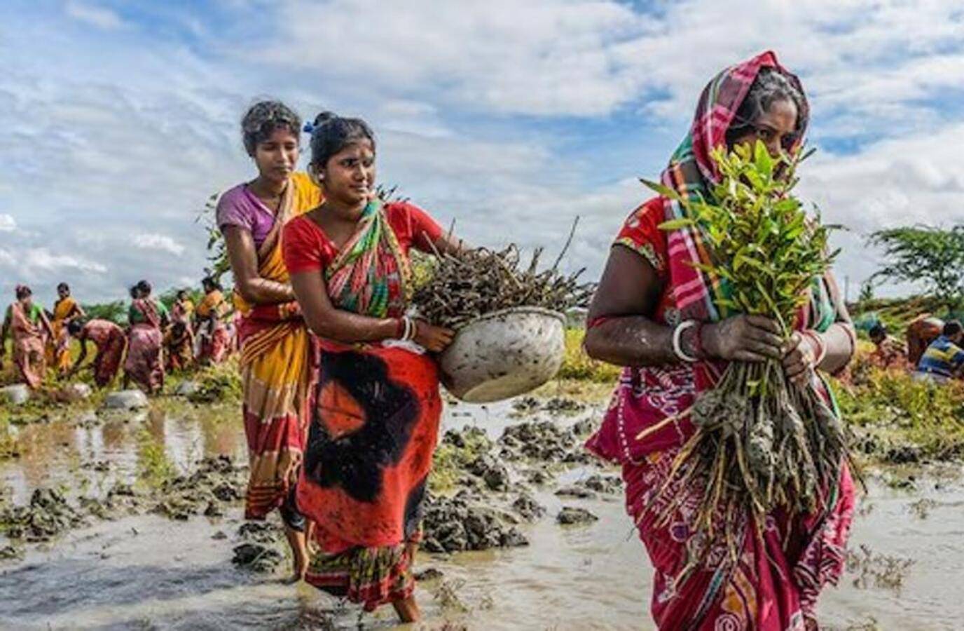 India's Rural Employment Law Gets a Major Overhaul: 125 Days of Work Guaranteed