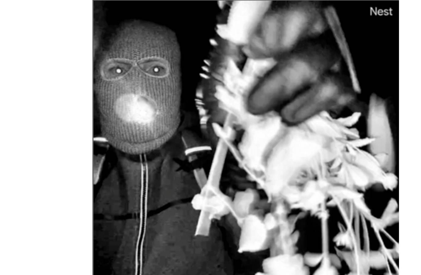 Expert Predicts Abductor's Capture: 'He Made Other Mistakes...'