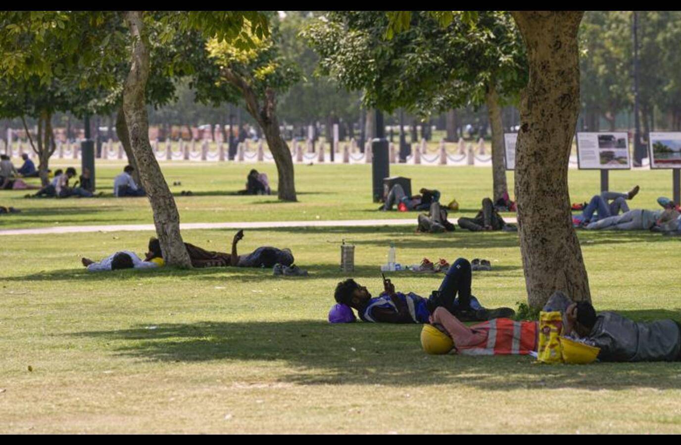 Delhi Sizzles: 14-Year May Record Broken as Heatwave Continues