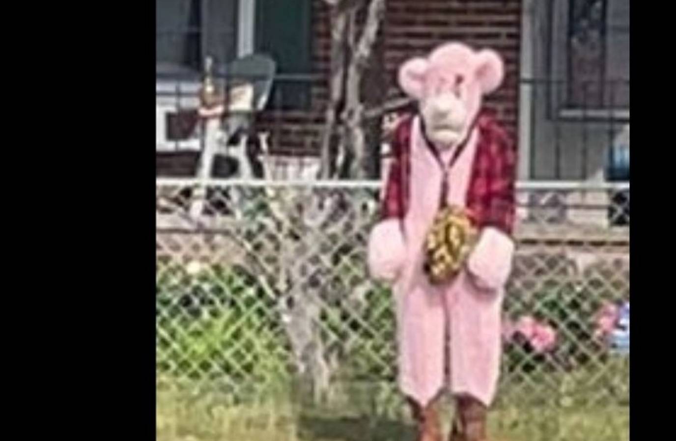Pink Panther-Like Figure Sparks Panic in Virginia, Police Search On