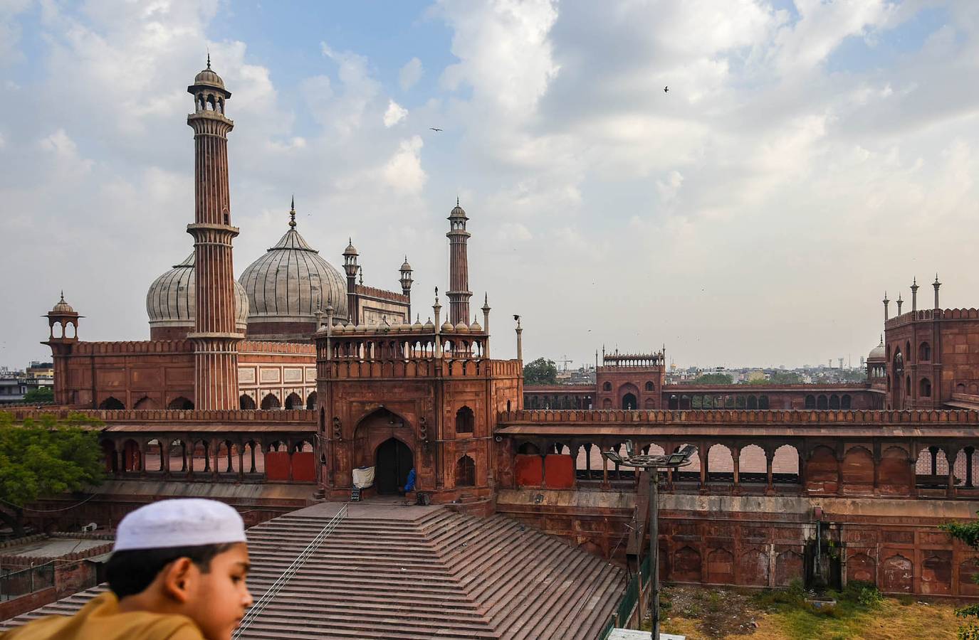Delhi Minister Warns Against Illegal Bakri Eid Slaughter