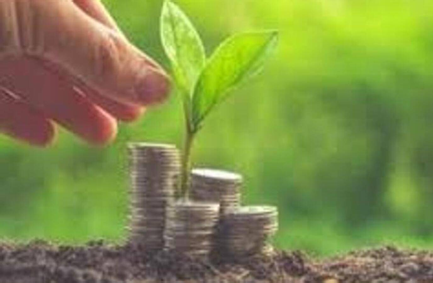 Climate Finance Falls Short of Developing Nations' Needs: OECD Report